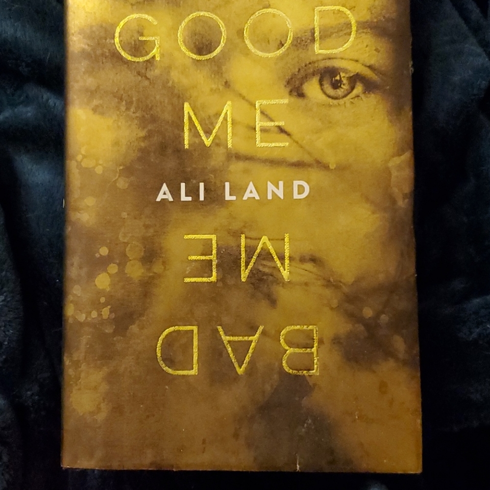 Good Me Bad Me by Ali Land